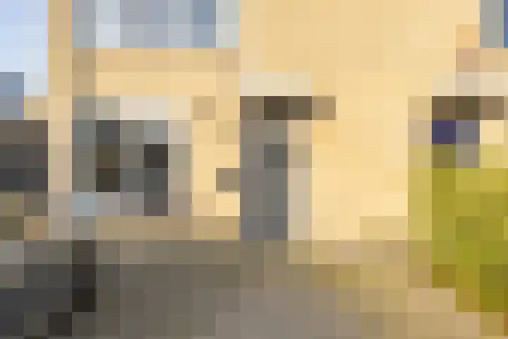 Van den Broekstraat 2 Groningen thumbnail 4