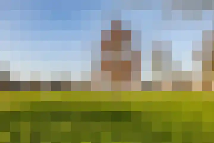 Van den Broekstraat 2 Groningen thumbnail 40