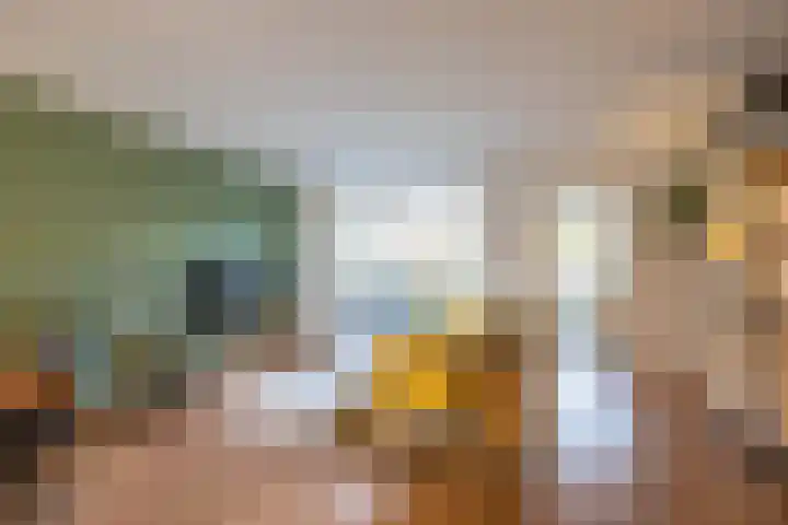 Van den Broekstraat 2 Groningen thumbnail 7