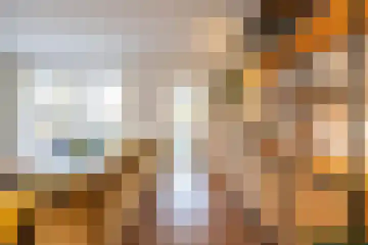 Van den Broekstraat 2 Groningen thumbnail 8