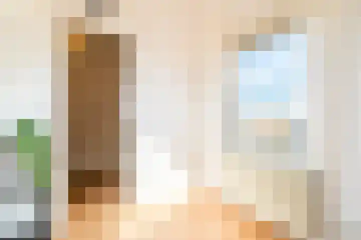 Van den Broekstraat 3 Groningen thumbnail 44