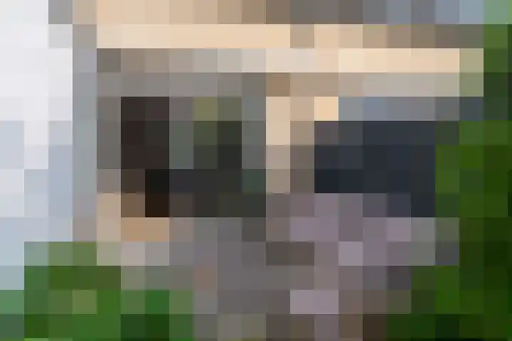 Van den Broekstraat 3 Groningen thumbnail 47