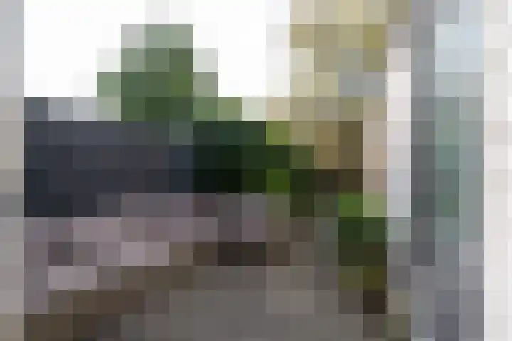 Van den Broekstraat 3 Groningen thumbnail 48