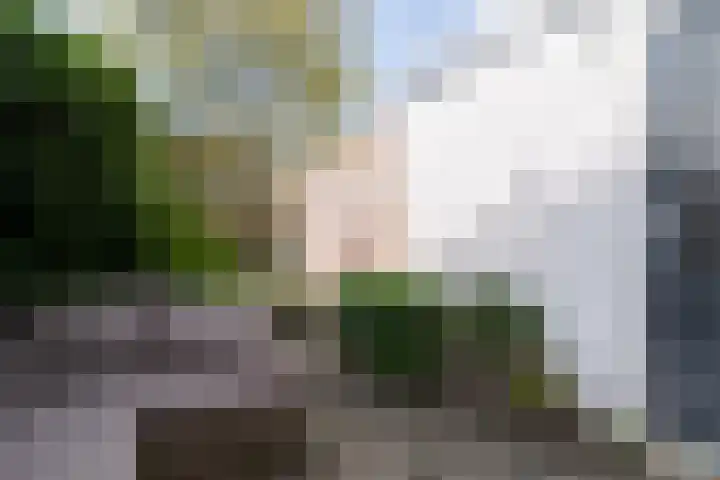 Van den Broekstraat 3 Groningen thumbnail 49