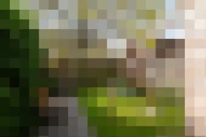 Van den Broekstraat 3 Groningen thumbnail 50