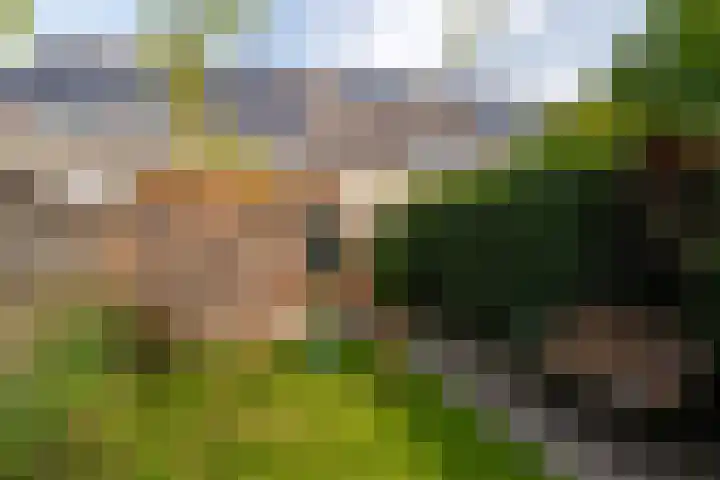 Van den Broekstraat 3 Groningen thumbnail 51