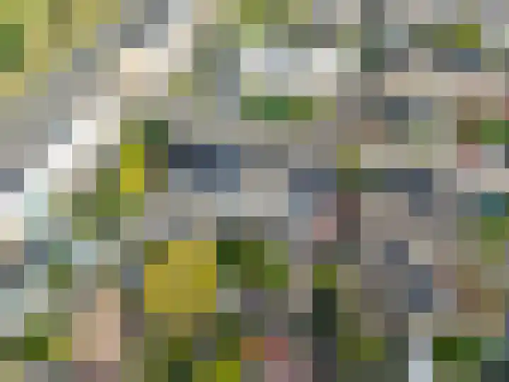 Van den Broekstraat 3 Groningen thumbnail 52