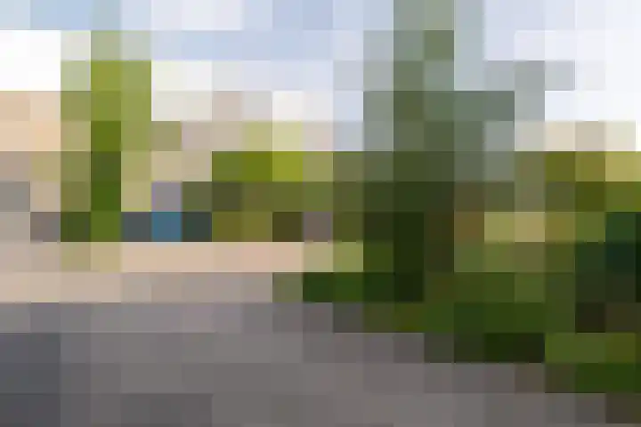 Van den Broekstraat 3 Groningen thumbnail 8