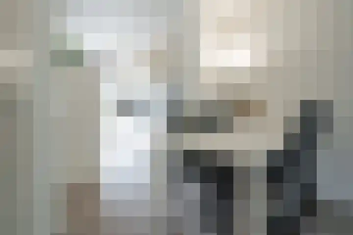 Van den Broekstraat 36 Utrecht thumbnail 9