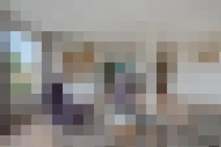Van den Cloostermarke 14 Zwolle thumbnail 18