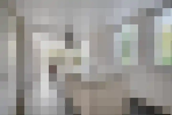 Van den Cloostermarke 14 Zwolle thumbnail 19