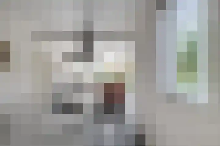 Van den Cloostermarke 14 Zwolle thumbnail 20