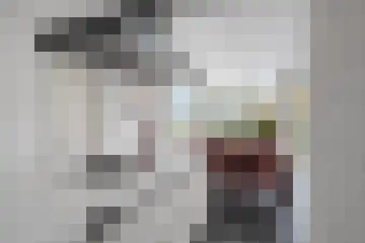 Van den Cloostermarke 14 Zwolle thumbnail 22