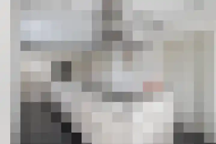 Van den Cloostermarke 14 Zwolle thumbnail 23