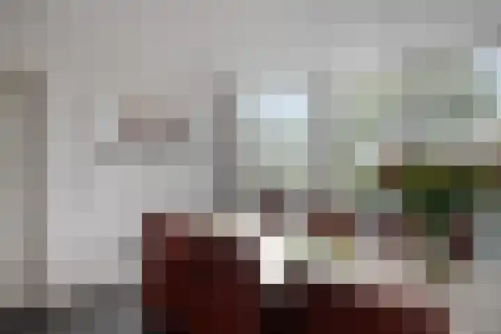 Van den Cloostermarke 14 Zwolle thumbnail 26