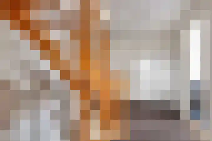 Van den Cloostermarke 14 Zwolle thumbnail 28