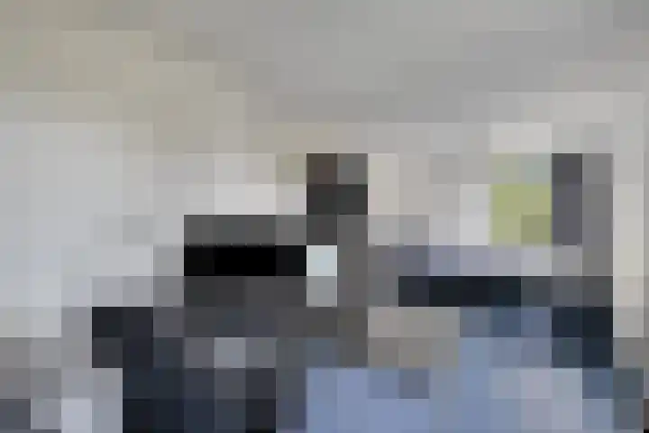 Van den Cloostermarke 14 Zwolle thumbnail 37