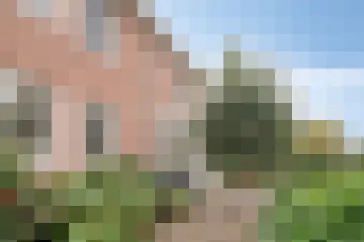 Van den Cloostermarke 14 Zwolle thumbnail 4