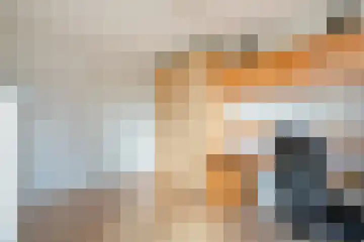 Van den Cloostermarke 14 Zwolle thumbnail 40