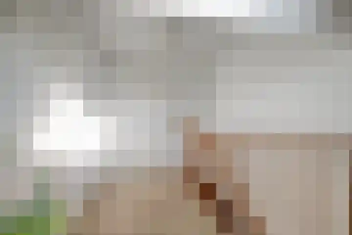 Van den Cloostermarke 14 Zwolle thumbnail 43