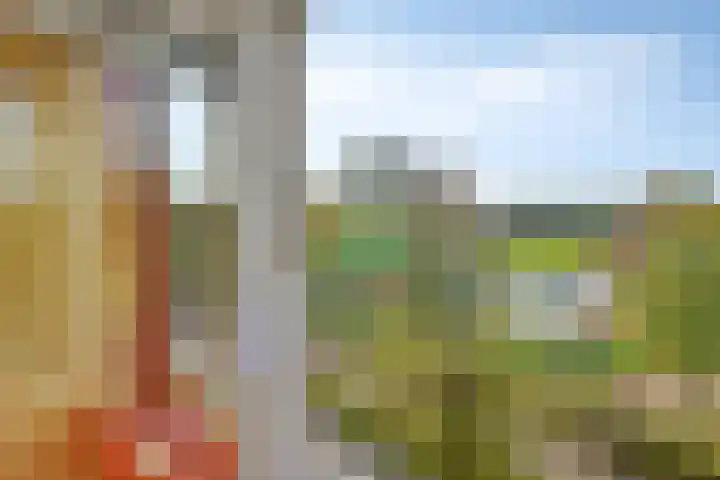 Van den Cloostermarke 14 Zwolle thumbnail 47