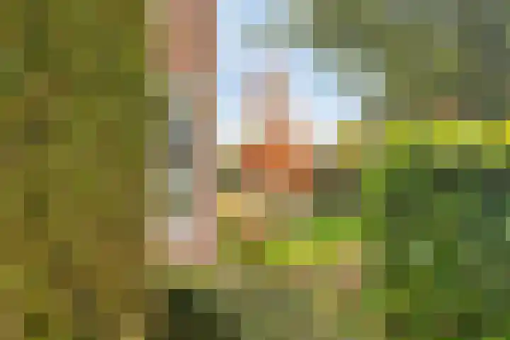 Van den Cloostermarke 14 Zwolle thumbnail 48