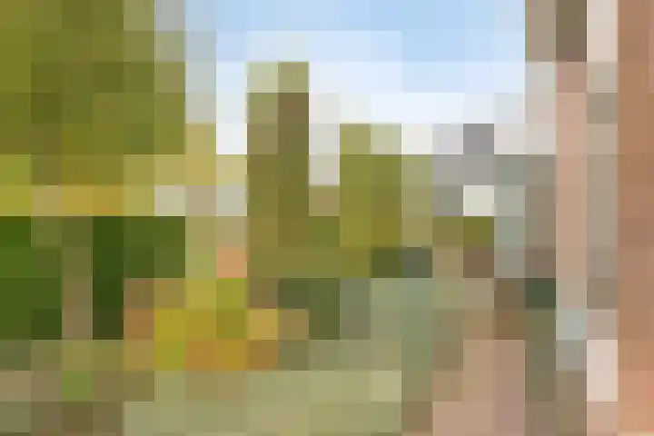 Van den Cloostermarke 14 Zwolle thumbnail 49