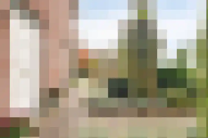 Van den Cloostermarke 14 Zwolle thumbnail 5