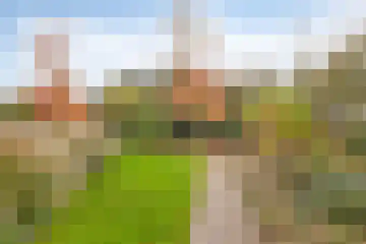 Van den Cloostermarke 14 Zwolle thumbnail 50