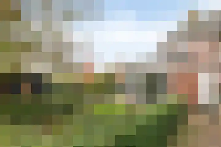 Van den Cloostermarke 14 Zwolle thumbnail 55