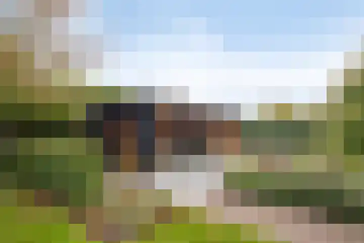 Van den Cloostermarke 14 Zwolle thumbnail 56