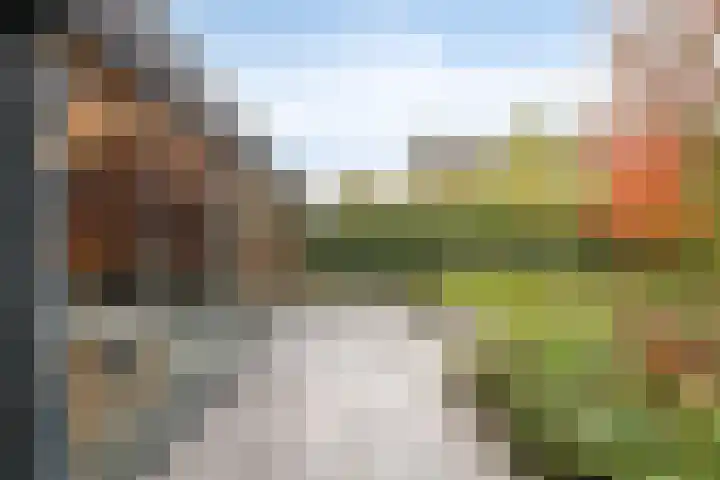 Van den Cloostermarke 14 Zwolle thumbnail 57