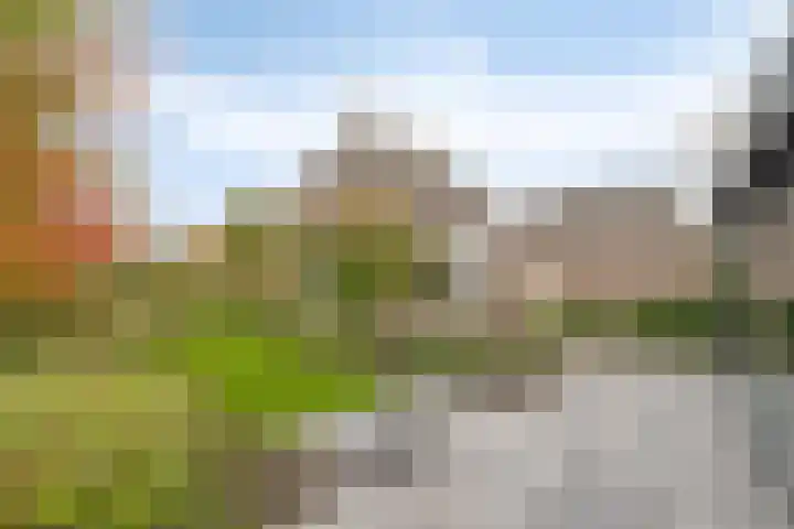 Van den Cloostermarke 14 Zwolle thumbnail 58