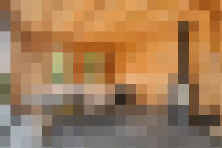 Van den Cloostermarke 14 Zwolle thumbnail 59