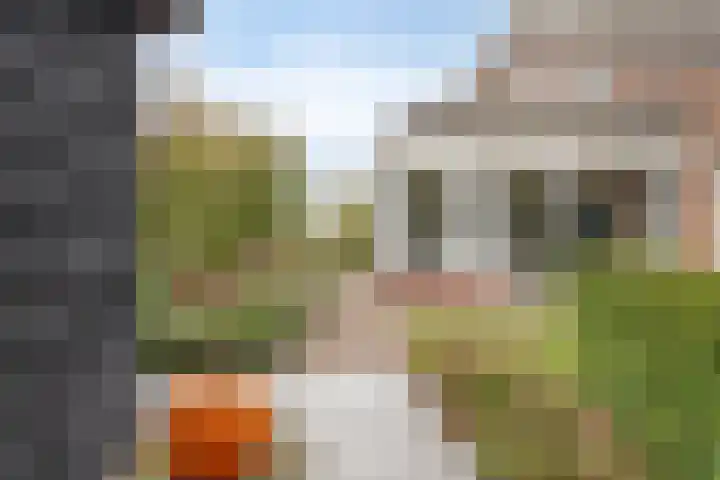 Van den Cloostermarke 14 Zwolle thumbnail 62