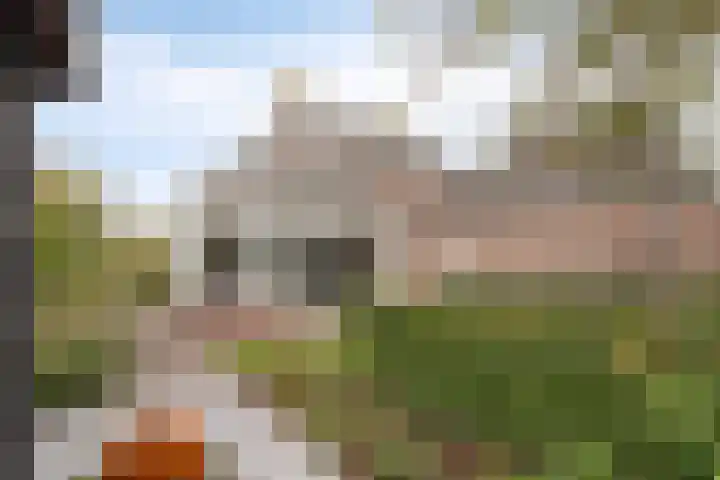 Van den Cloostermarke 14 Zwolle thumbnail 63