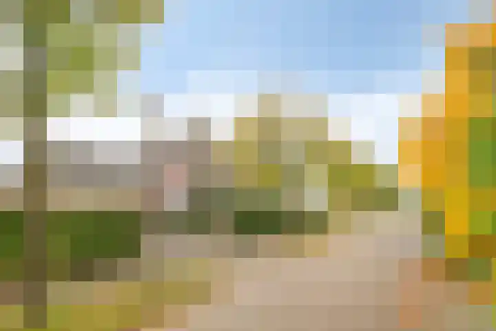 Van den Cloostermarke 14 Zwolle thumbnail 65
