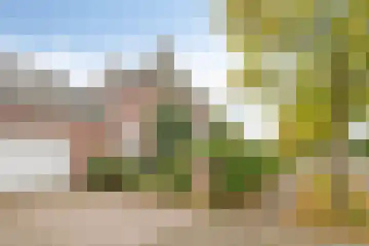 Van den Cloostermarke 14 Zwolle thumbnail 66