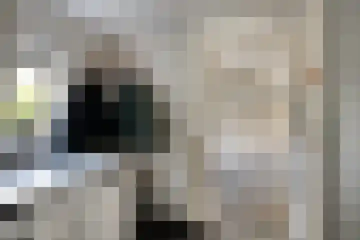 Van den Cloostermarke 14 Zwolle thumbnail 68