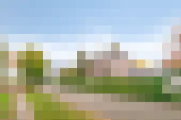 Van den Cloostermarke 14 Zwolle thumbnail 7