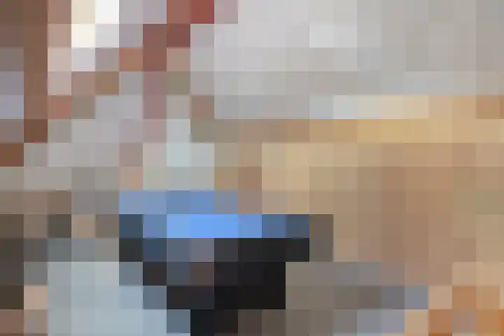 Van den Cloostermarke 14 Zwolle thumbnail 74