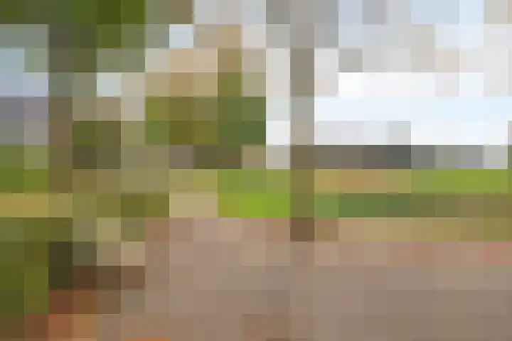 Van den Cloostermarke 14 Zwolle thumbnail 75