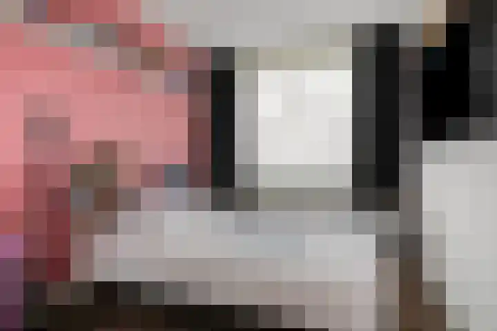 van den Dungenstraat 1 Helmond thumbnail 16