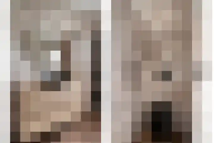 van den Dungenstraat 1 Helmond thumbnail 20