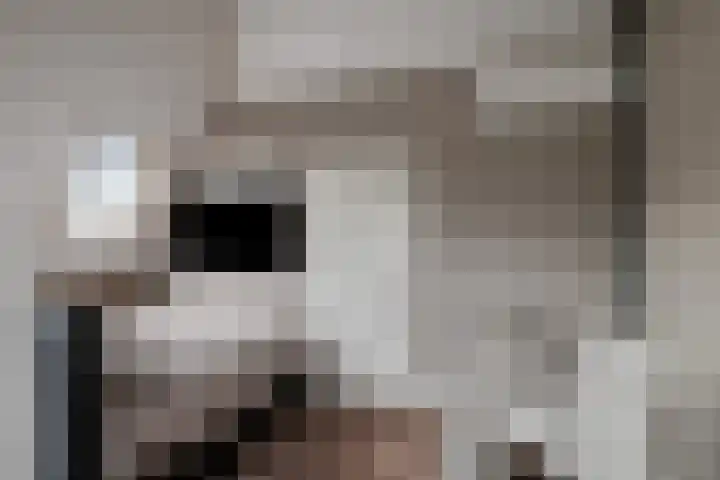 van den Dungenstraat 1 Helmond thumbnail 26