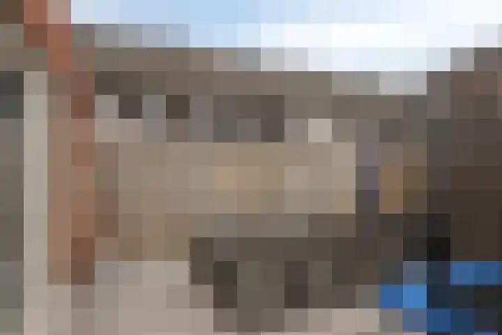 van den Dungenstraat 1 Helmond thumbnail 28
