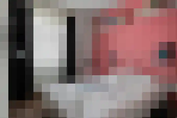 van den Dungenstraat 1 Helmond thumbnail 4