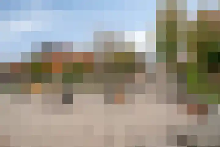 van den Dungenstraat 1 Helmond thumbnail 40