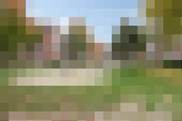 van den Dungenstraat 1 Helmond thumbnail 43