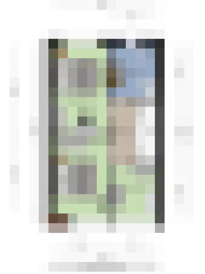 van den Dungenstraat 1 Helmond thumbnail 46